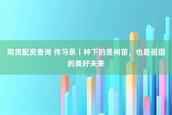 期货配资查询 传习录丨种下的是树苗，也是祖国的美好未来